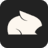 Pika Labs logo